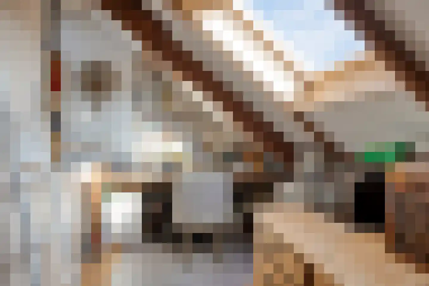 Wasstraat 57 Leiden thumbnail 47