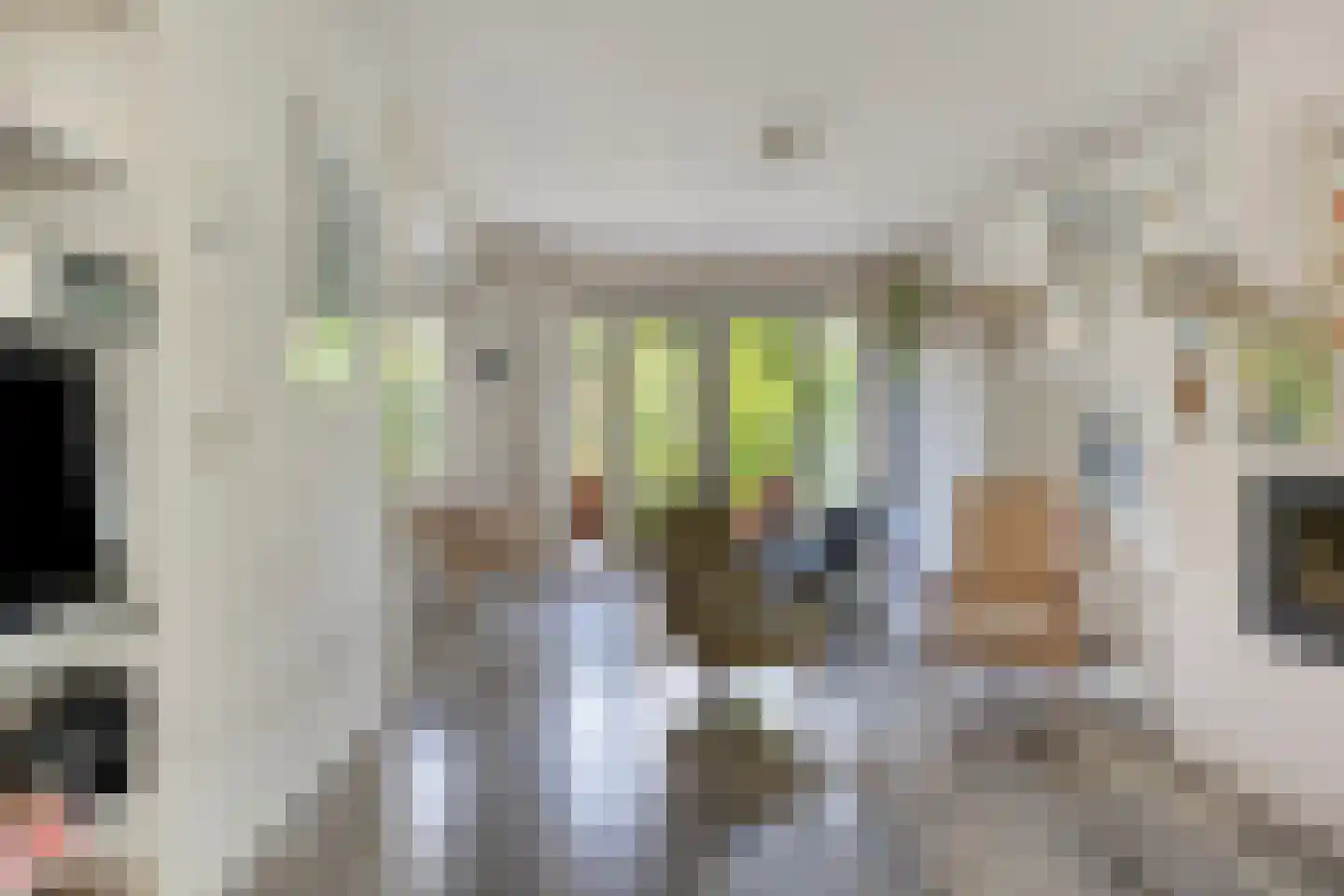 Wasstraat 57 Leiden thumbnail 9