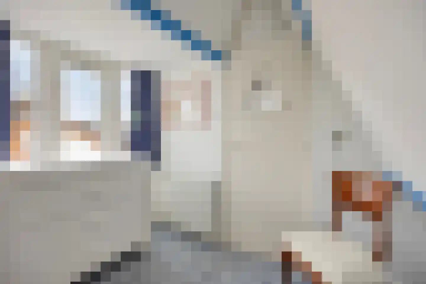 Wasstraat 64 Leiden thumbnail 37