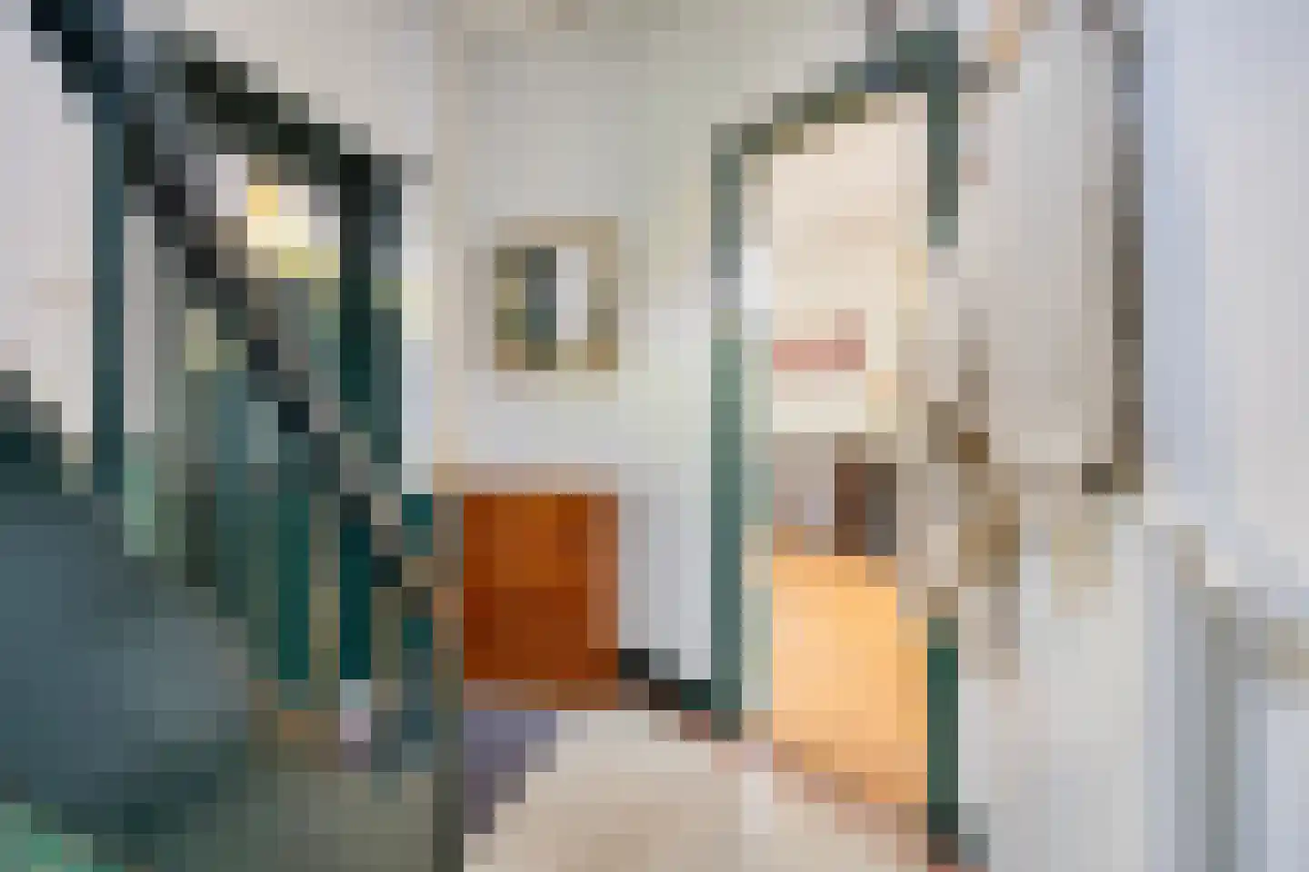 Wasstraat 64 Leiden thumbnail 4