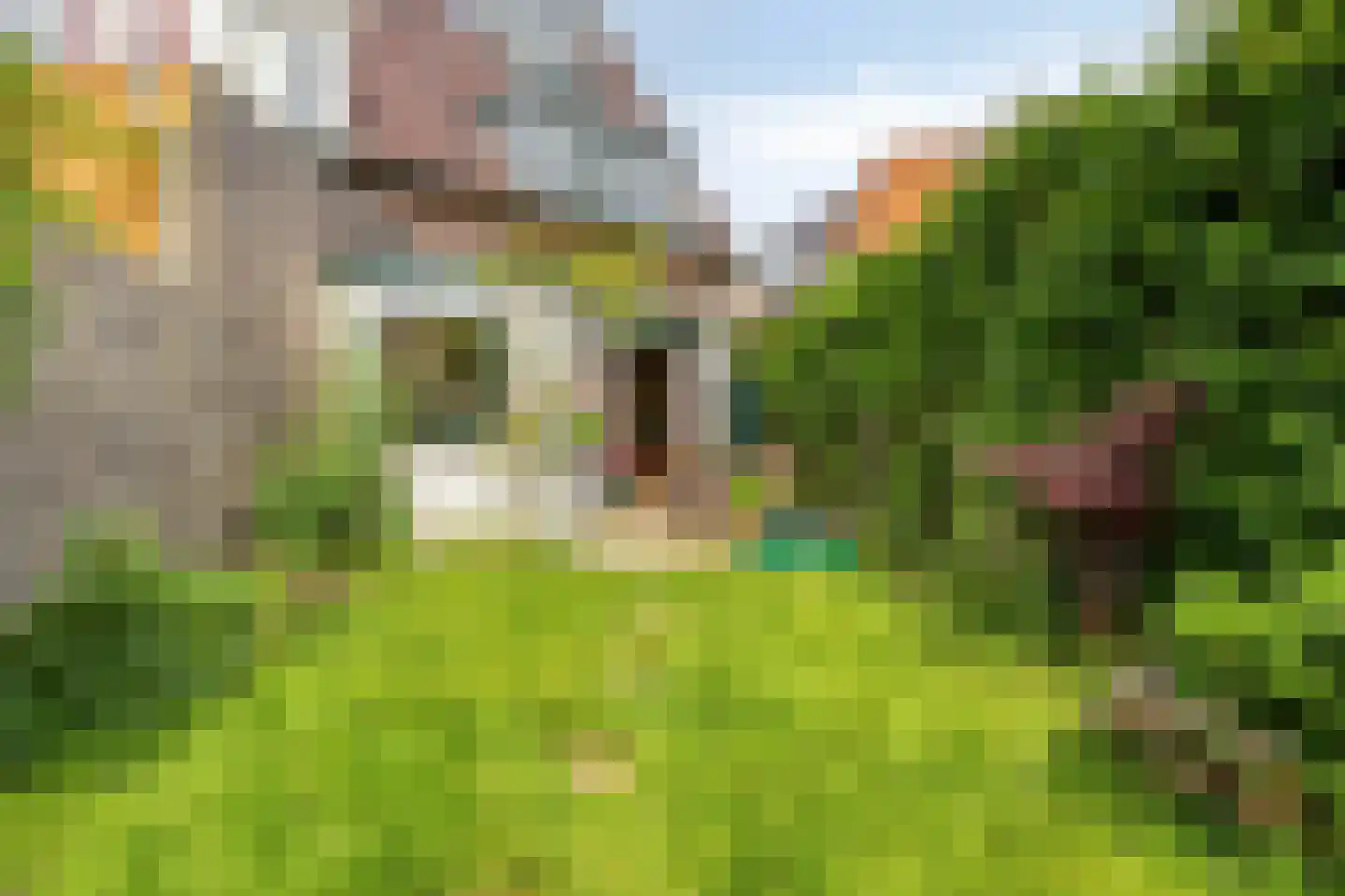 Wasstraat 64 Leiden thumbnail 44