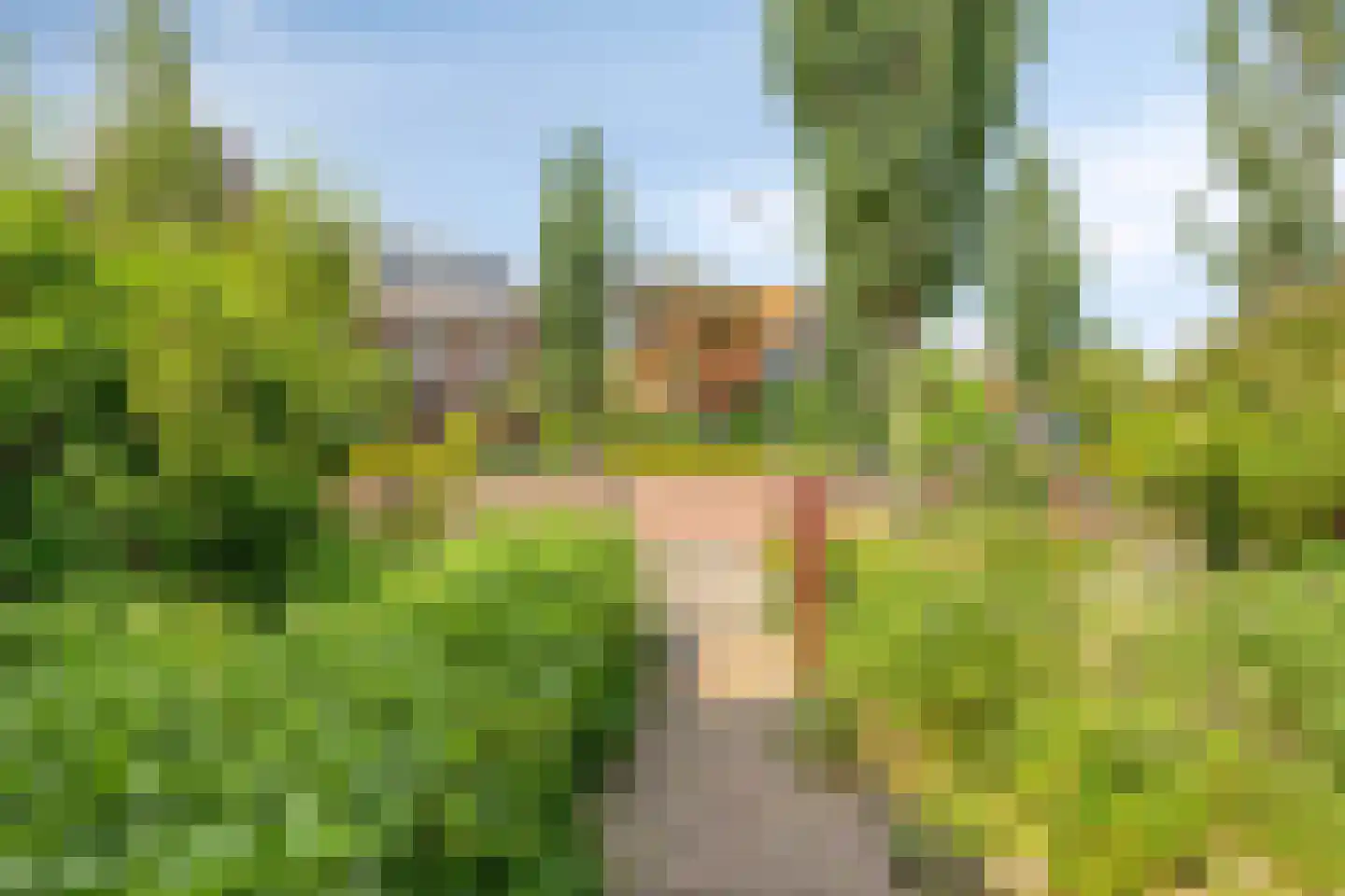 Wasstraat 64 Leiden thumbnail 48
