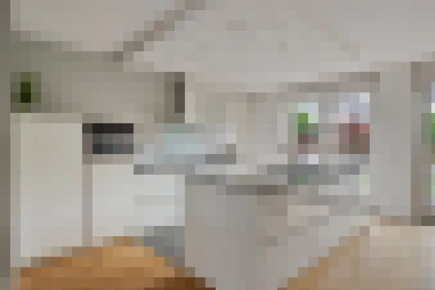 Wastronahof 3 Nuenen thumbnail 10