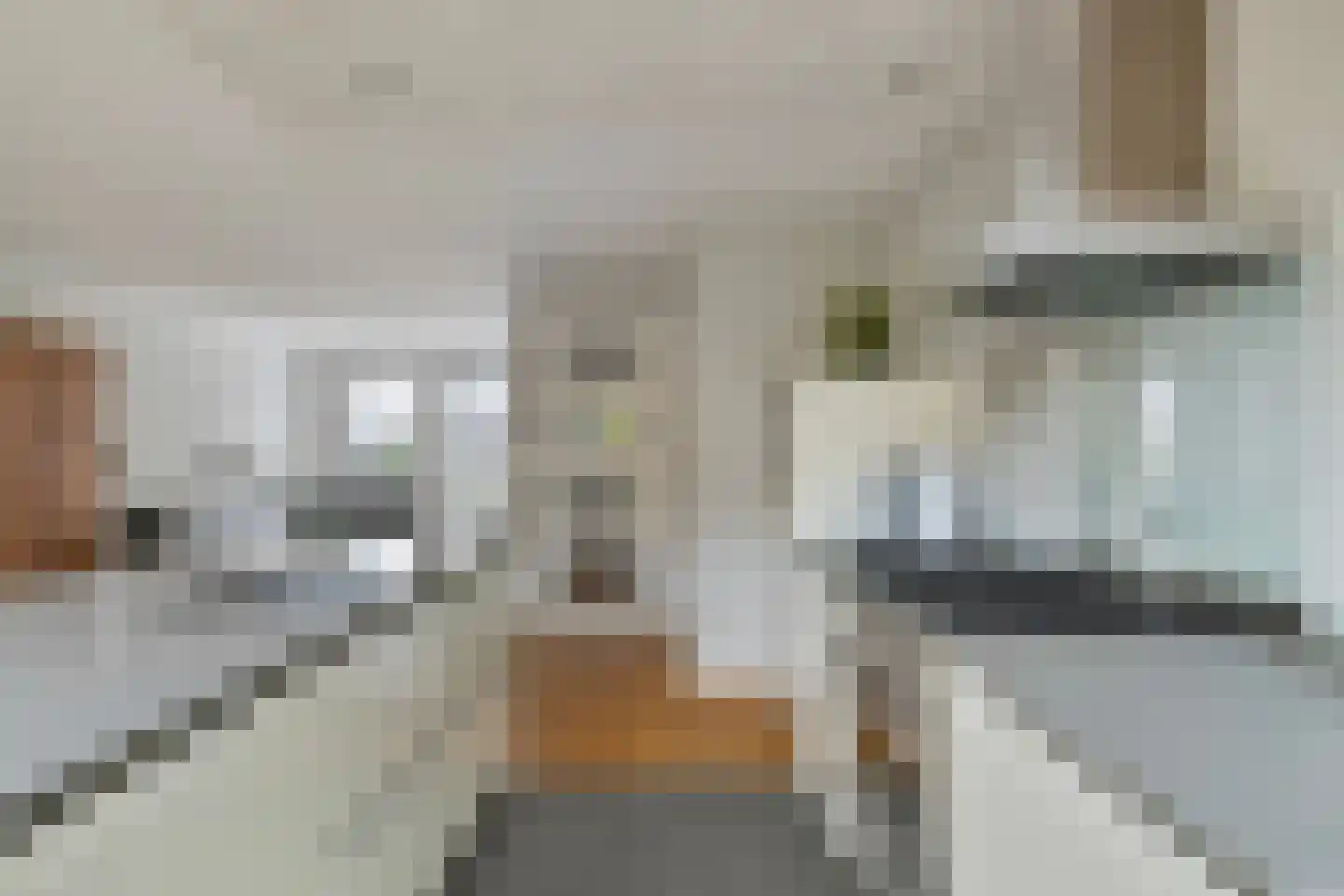 Wastronahof 3 Nuenen thumbnail 12