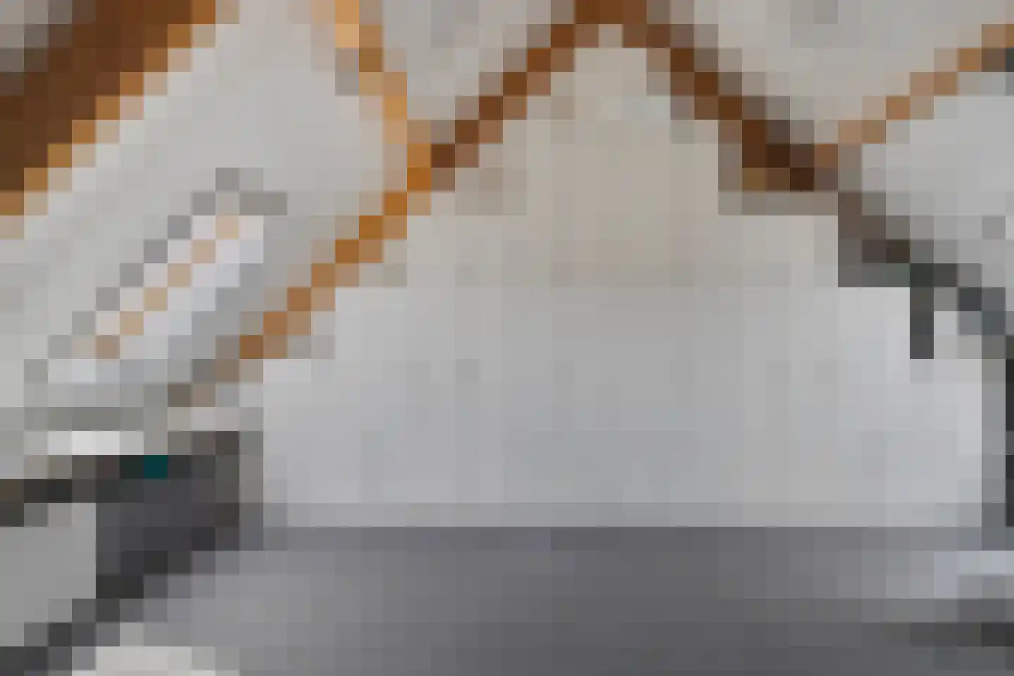 Wastronahof 3 Nuenen thumbnail 25