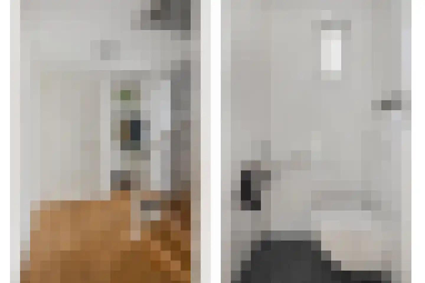 Wastronahof 3 Nuenen thumbnail 4