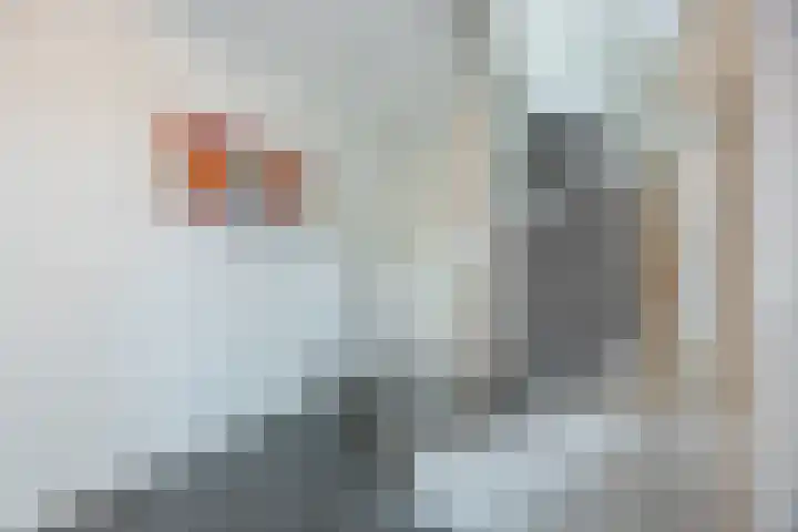 Wastronahof 4 Nuenen thumbnail 11
