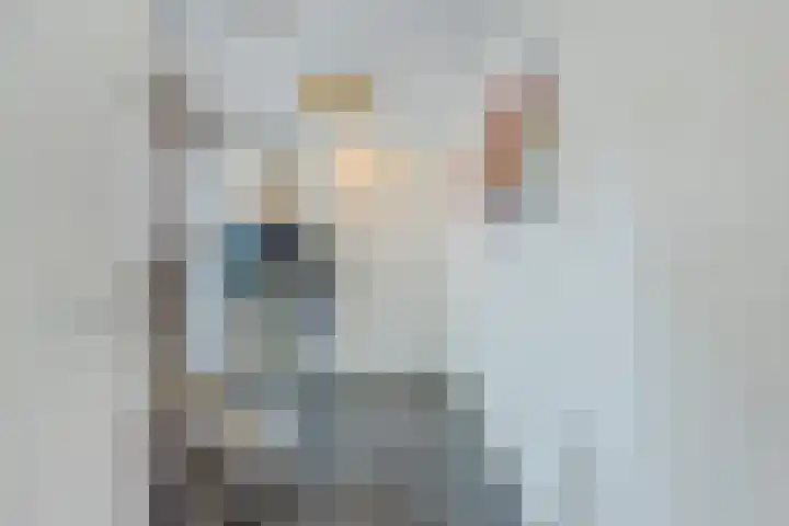 Wastronahof 4 Nuenen thumbnail 12
