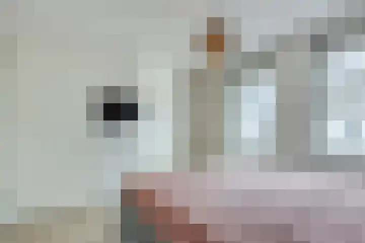 Wastronahof 4 Nuenen thumbnail 18