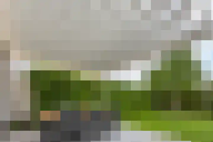Wastronahof 4 Nuenen thumbnail 37