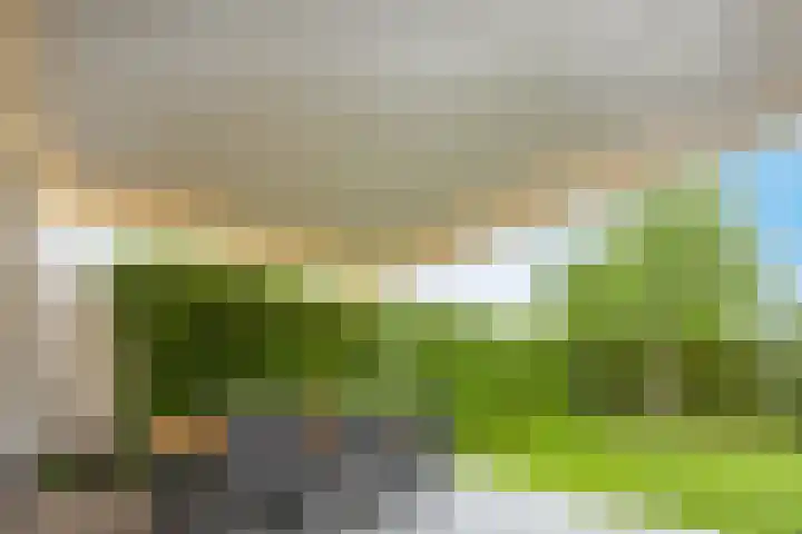 Wastronahof 4 Nuenen thumbnail 38