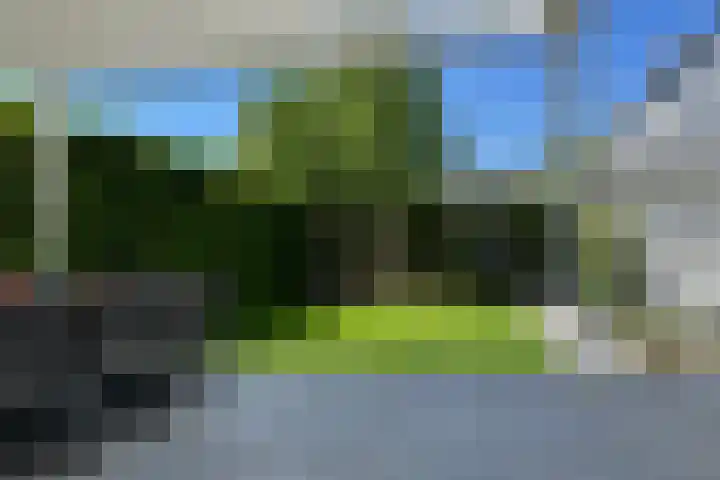 Wastronahof 4 Nuenen thumbnail 42