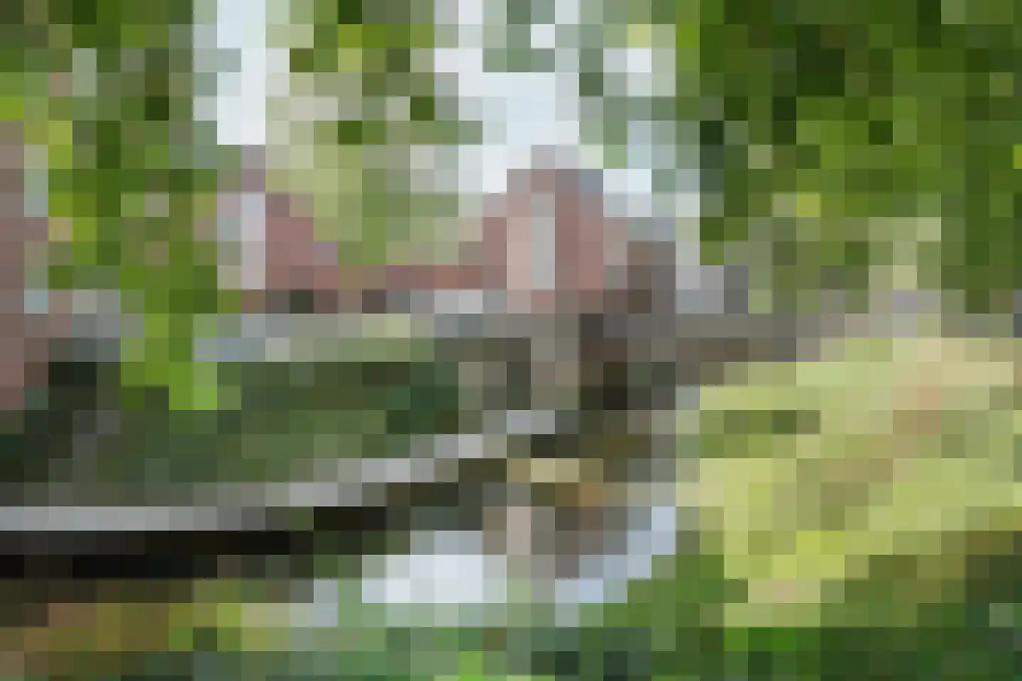 Water en Vuurplein 1 's-Hertogenbosch thumbnail 5