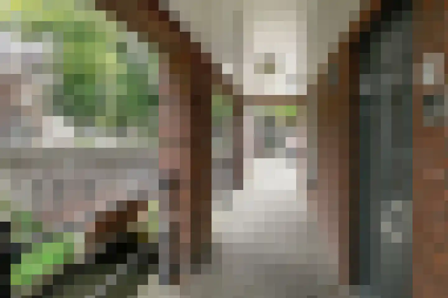 Water en Vuurplein 1 's-Hertogenbosch thumbnail 6