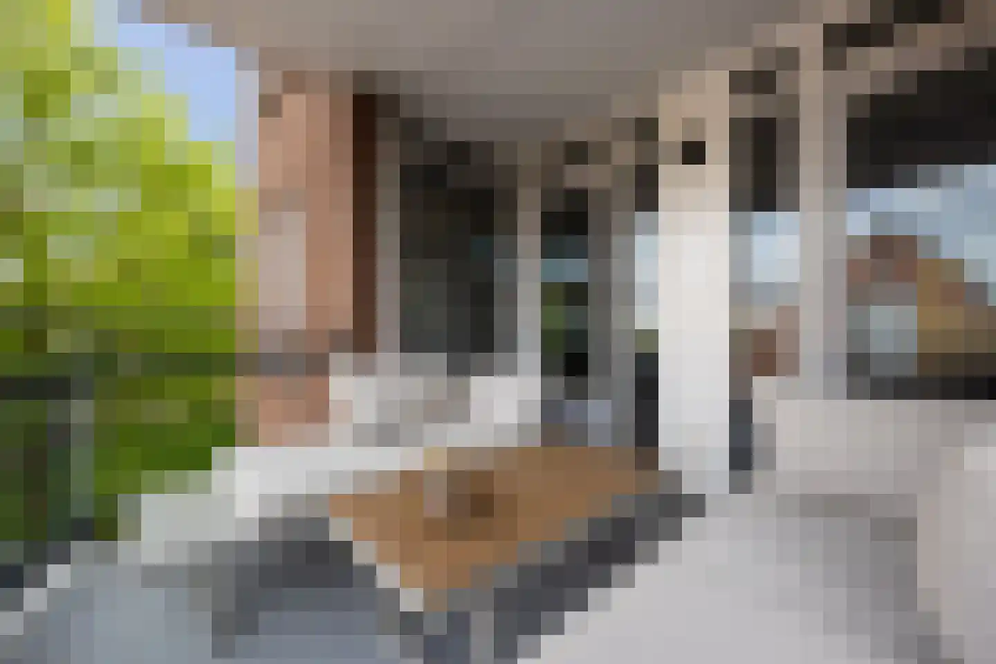 Water en Vuurplein 21 's-Hertogenbosch thumbnail 21