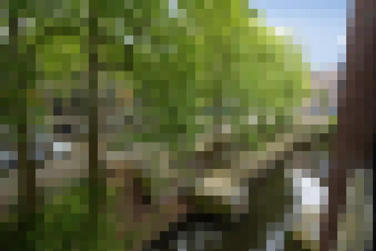 Water en Vuurplein 21 's-Hertogenbosch thumbnail 31