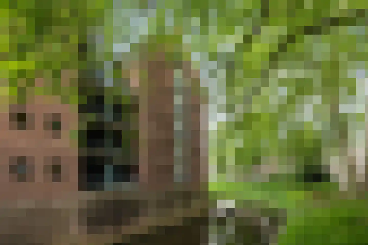 Water en Vuurplein 21 's-Hertogenbosch thumbnail 44