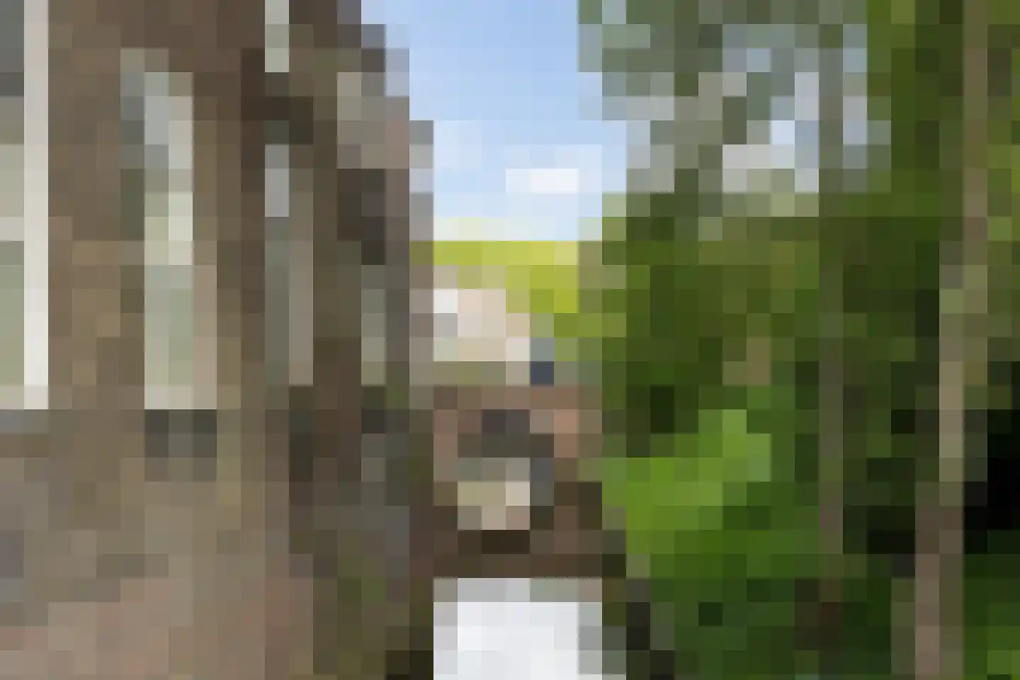 Water en Vuurplein 21 's-Hertogenbosch thumbnail 48