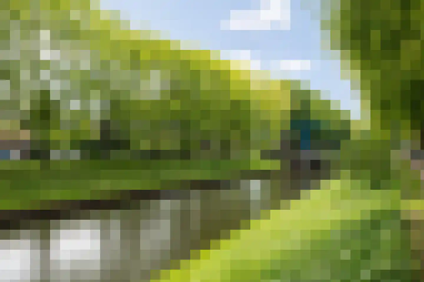 Water en Vuurplein 21 's-Hertogenbosch thumbnail 52