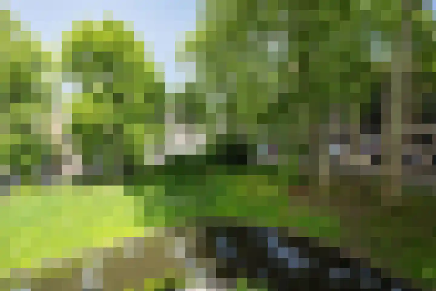 Water en Vuurplein 21 's-Hertogenbosch thumbnail 9