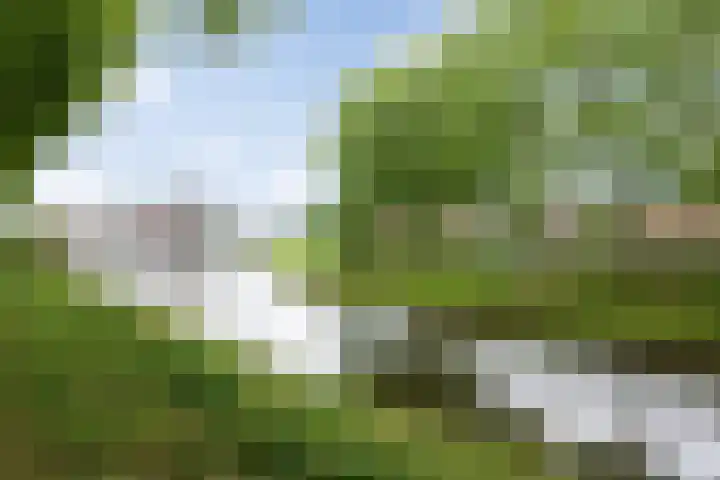 Water en Vuurplein 7 B 's-Hertogenbosch thumbnail 34