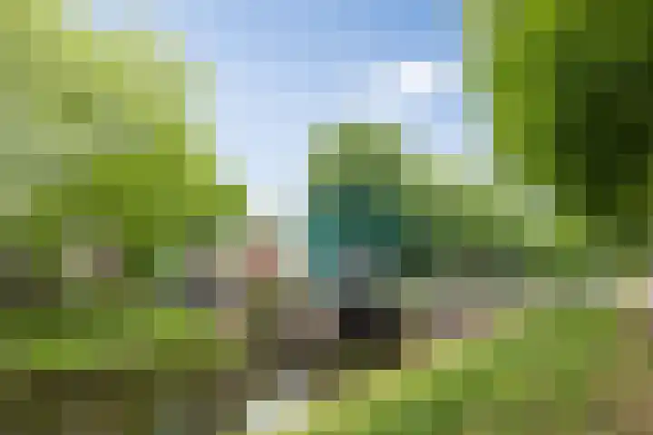 Water en Vuurplein 7 B 's-Hertogenbosch thumbnail 35