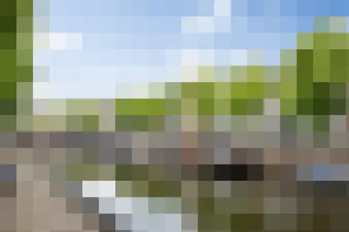 Water en Vuurplein 7 B 's-Hertogenbosch thumbnail 36