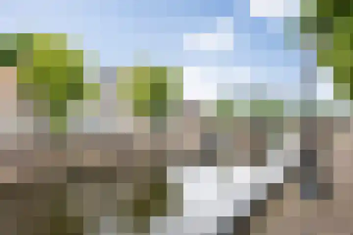 Water en Vuurplein 7 B 's-Hertogenbosch thumbnail 37
