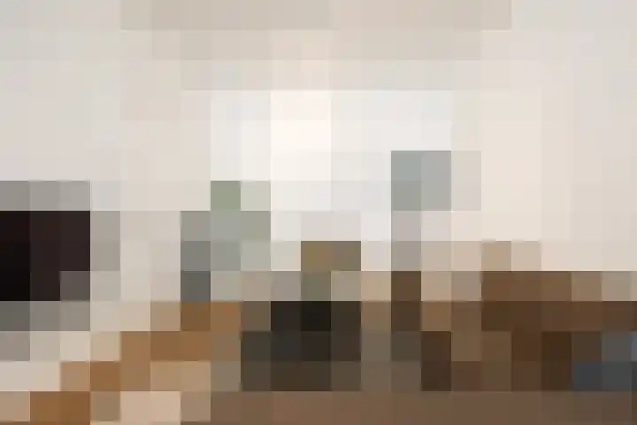 Water en Vuurplein 7 B 's-Hertogenbosch thumbnail 5