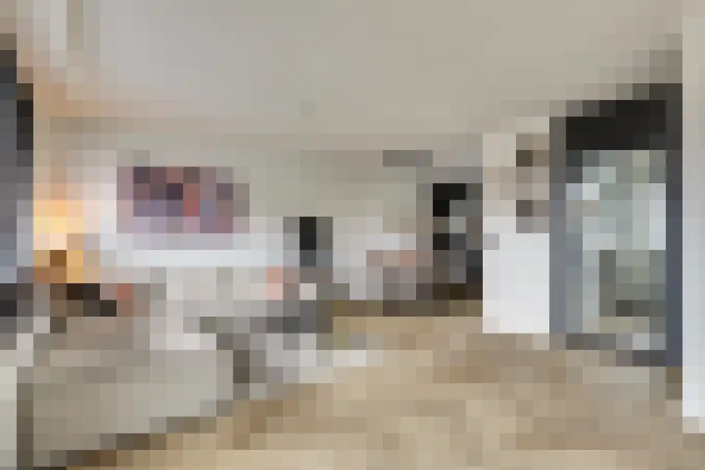 Waterbeemd 15 Oosterhout thumbnail 12
