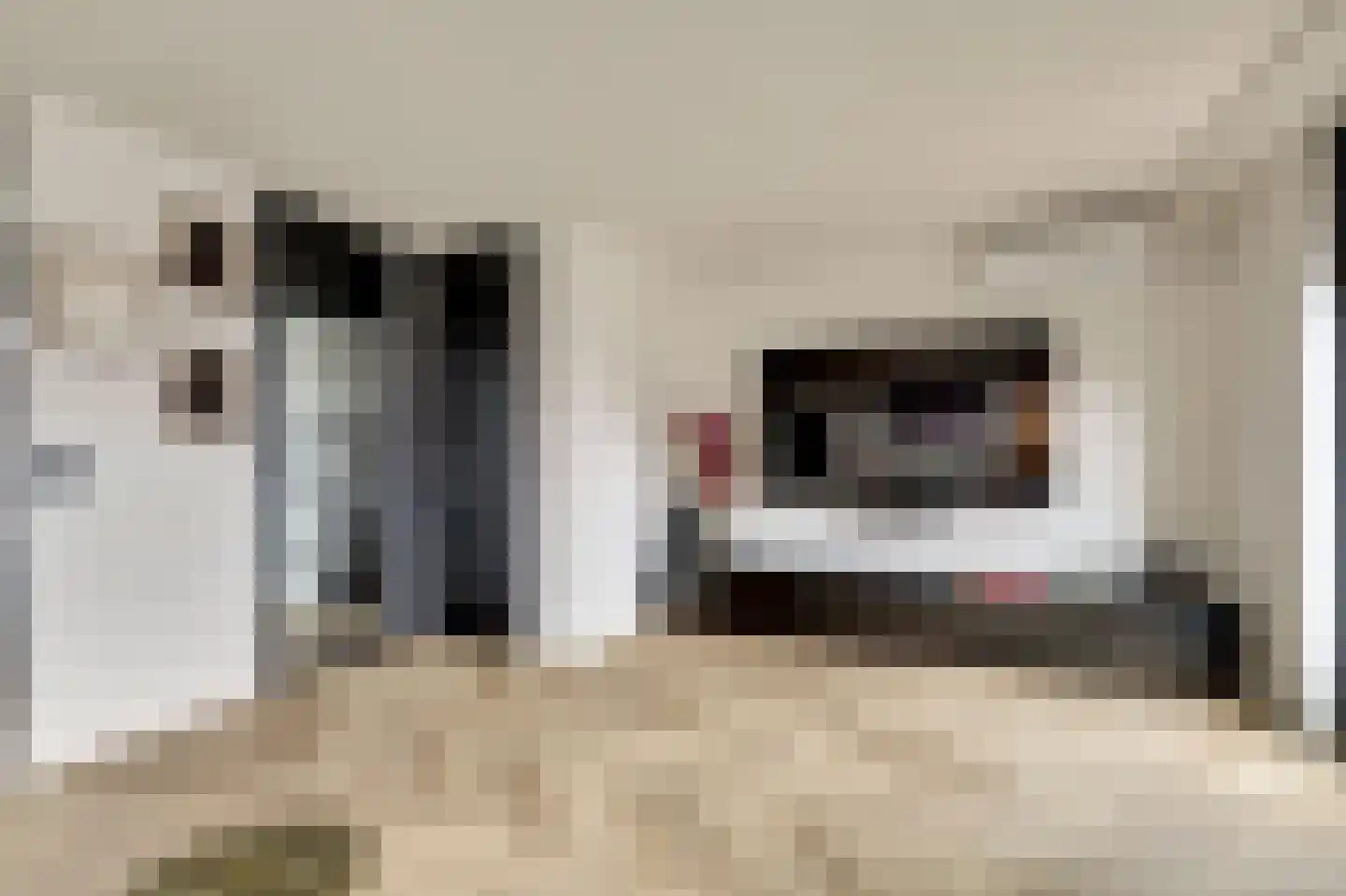 Waterbeemd 15 Oosterhout thumbnail 14