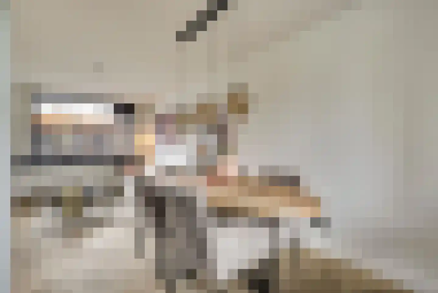 Waterbeemd 15 Oosterhout thumbnail 17