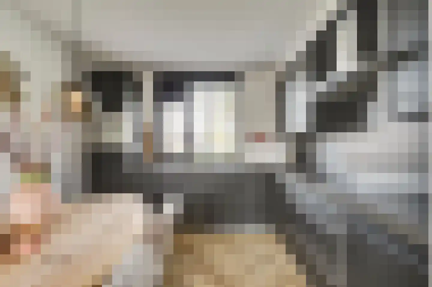 Waterbeemd 15 Oosterhout thumbnail 19