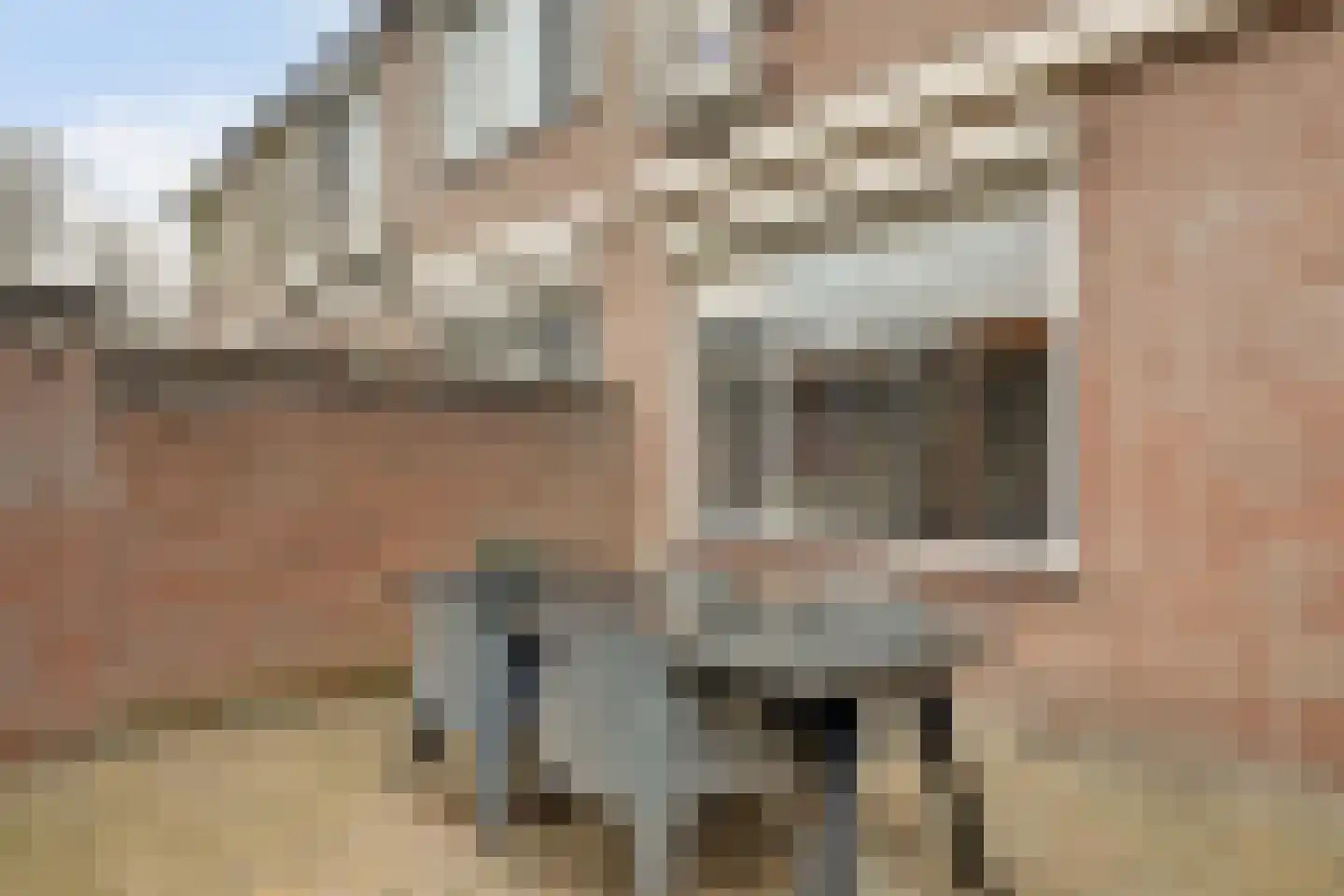 Waterbeemd 15 Oosterhout thumbnail 22