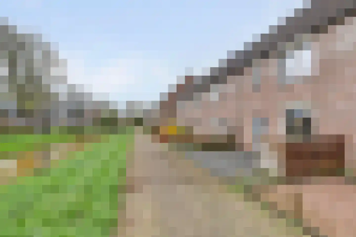 Waterbeemd 15 Oosterhout thumbnail 43