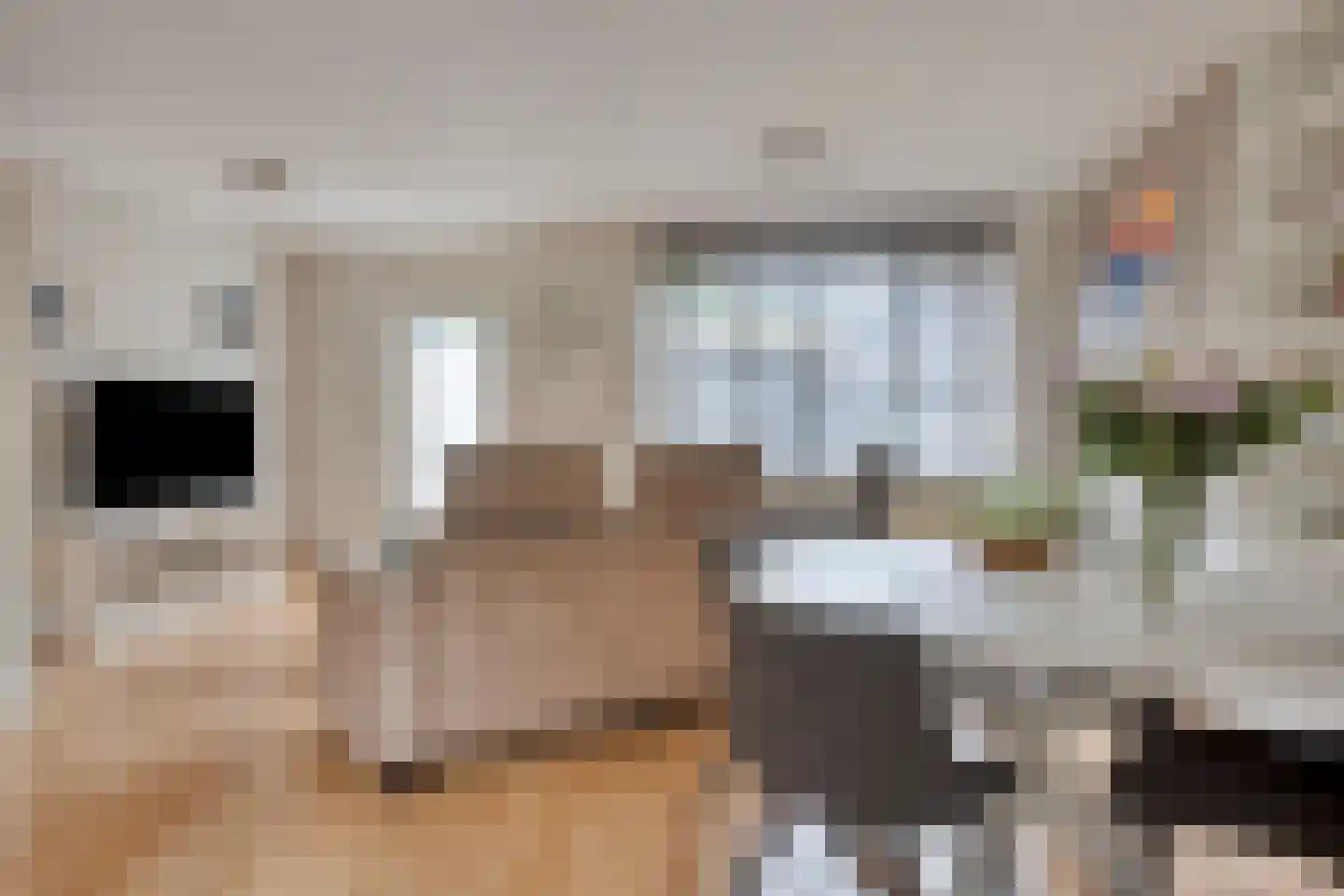 Waterbeemd 61 Oosterhout thumbnail 6