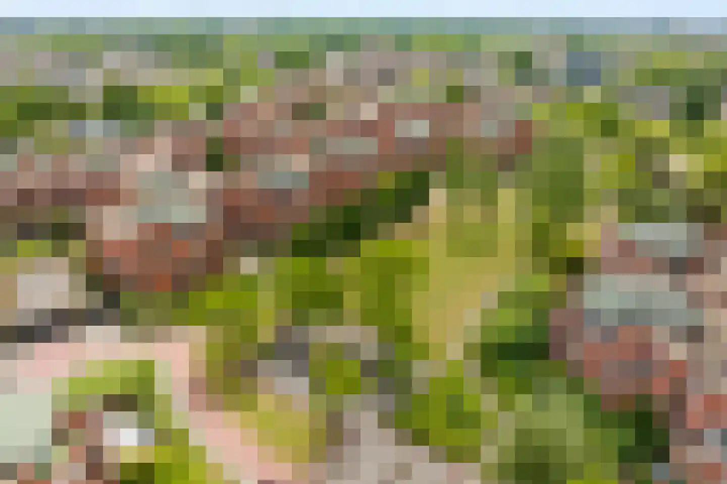 Waterberg 122 Capelle aan den IJssel thumbnail 6