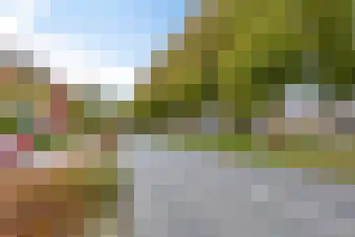 Waterberg 137 Capelle aan den IJssel thumbnail 31