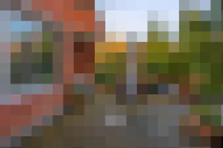 Waterberg 143 Capelle aan den IJssel thumbnail 26