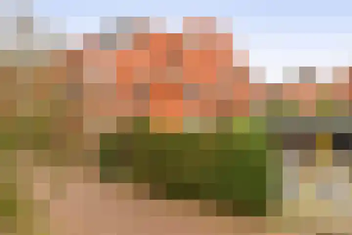 Waterberg 166 Capelle aan den IJssel thumbnail 45