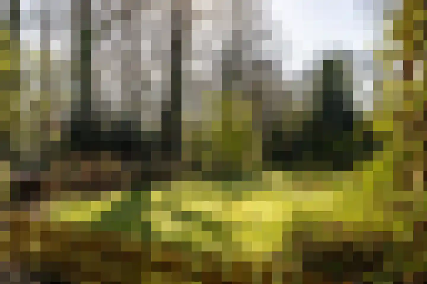 Waterbergseweg 17 A Arnhem thumbnail 4