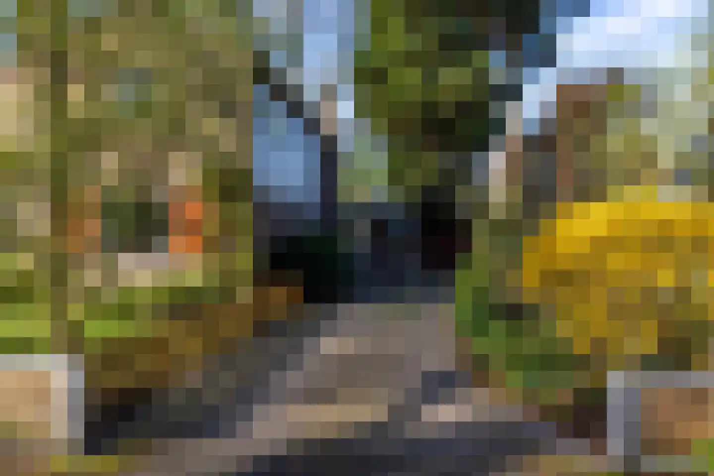 Waterbergseweg 17 A Arnhem thumbnail 6