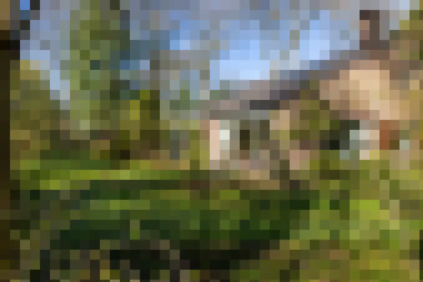 Waterbergseweg 17 A Arnhem thumbnail 7
