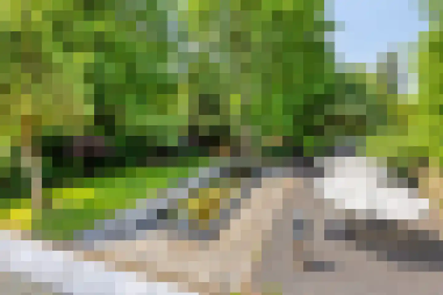 Waterbergseweg 5 Arnhem thumbnail 35
