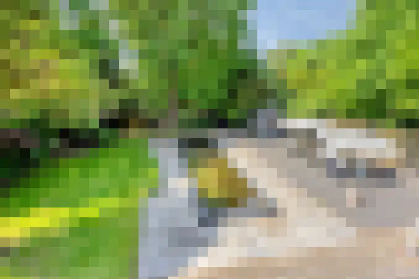 Waterbergseweg 5 Arnhem thumbnail 36