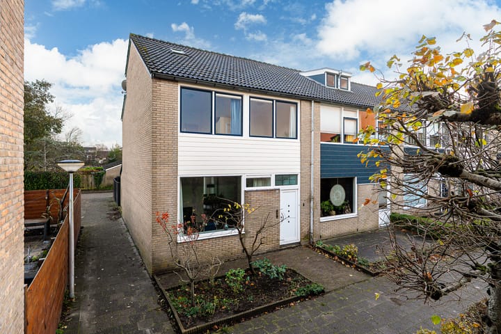 Waterbies 30 dans Leeuwarden photo