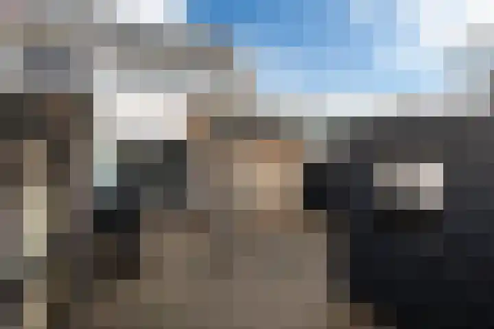 Waterbies 30 Leeuwarden thumbnail 19