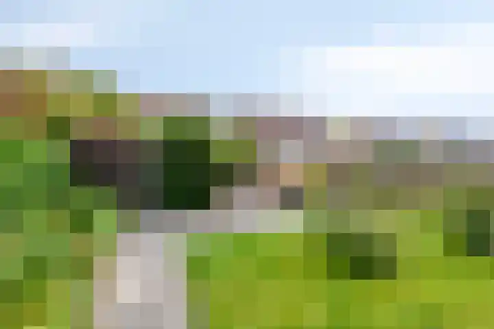 Waterbies 5 Zuidhorn thumbnail 31