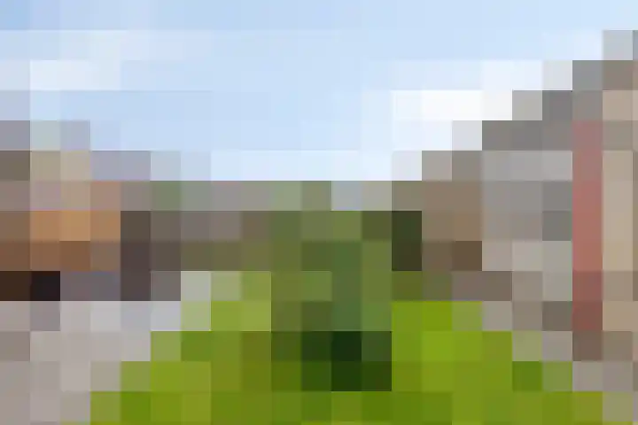 Waterbies 5 Zuidhorn thumbnail 32