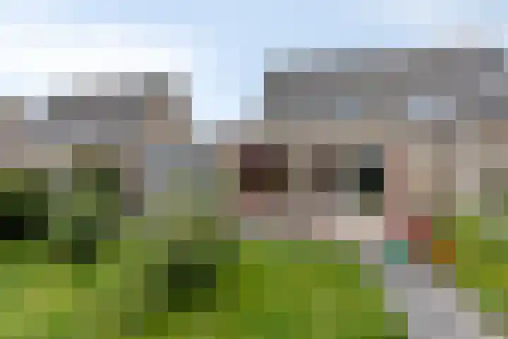 Waterbies 5 Zuidhorn thumbnail 33
